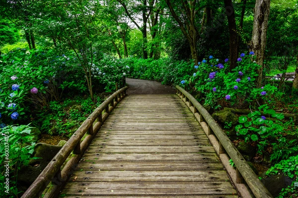 Fototapeta 紫陽花と伝統的な木造建築（府中郷土の森公園）