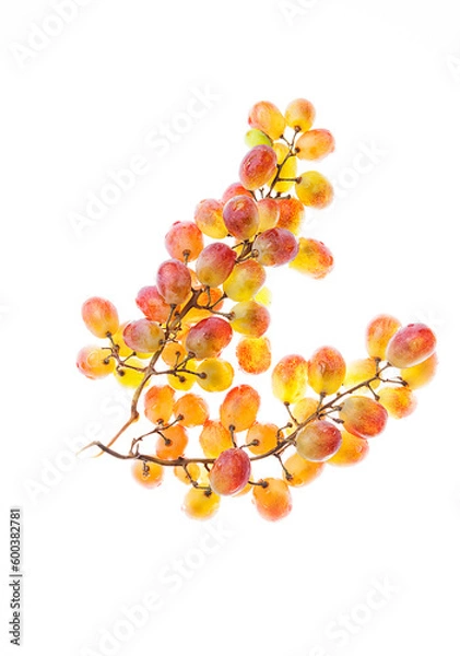 Obraz grape brush on a white background, macro shooting