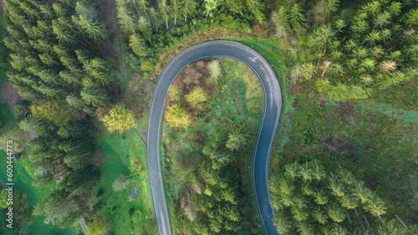 Obraz Straße durch Wald aus der Vogelperspektive