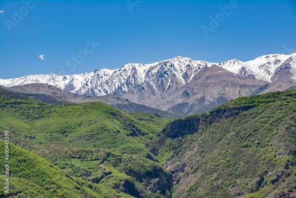 Fototapeta Green fields and mountains. Beautiful landscape with mountains and green forests