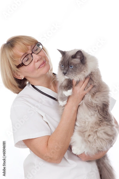 Fototapeta Veterinarian with cat