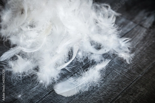 Obraz White Down Feathers