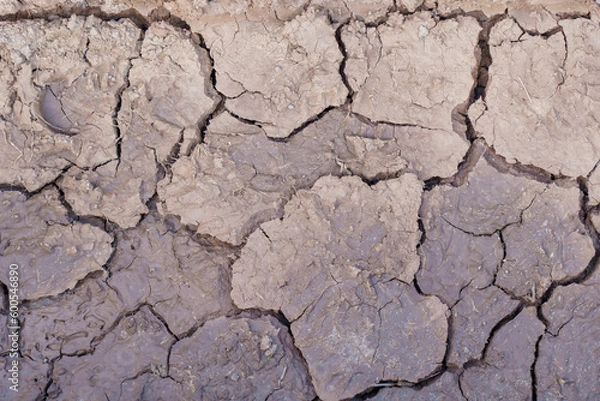 Fototapeta The soil cracked due to dryness. Creative cracks in the ground. Illustration of the apocalypse.