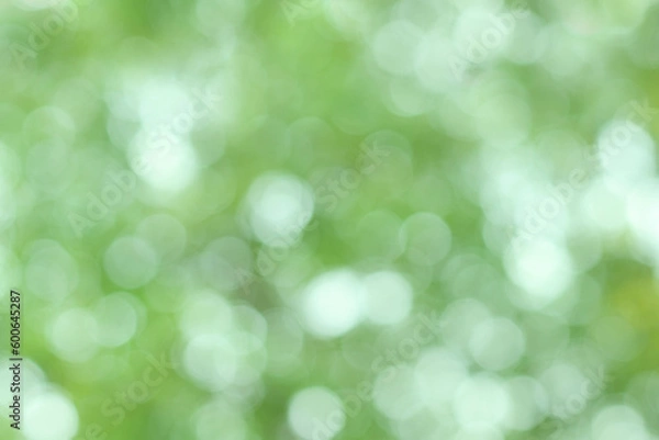 Fototapeta blurred Abstract natural greenery bokeh background in the forest with copy space using as background natural green plants landscape, ecology, fresh wallpaper concept.