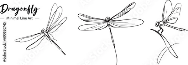 Obraz A dragonfly line art vector drawing 