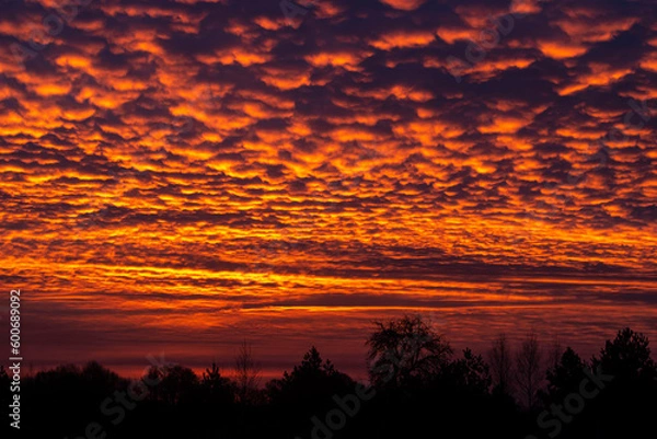 Fototapeta clouds reflect sunlight at sunset