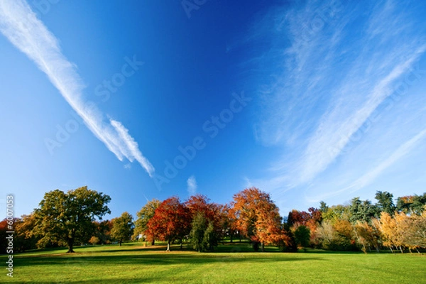 Fototapeta Paysage coloré windows abstrait