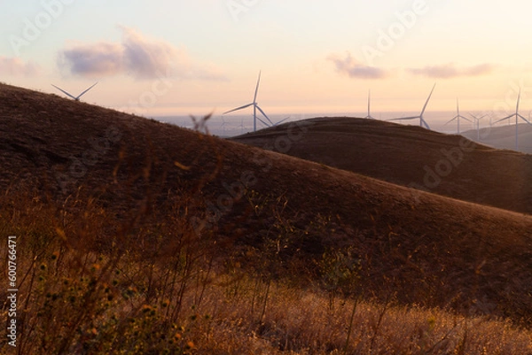 Obraz Altamont Wind Farm