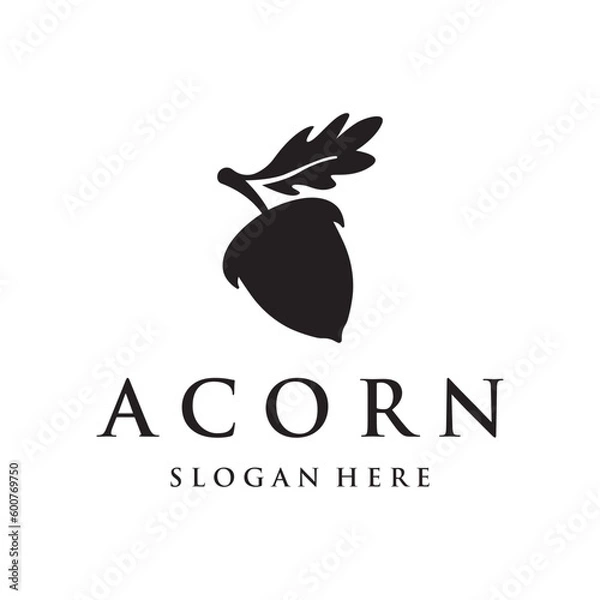 Fototapeta Acorn logo template design with leaves with editable vector illustration.