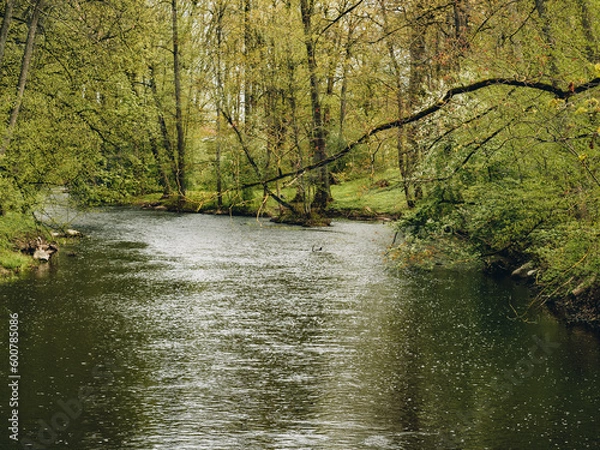 Fototapeta Spring in nature. Nature view landscape. Green grass, decaying trees, river