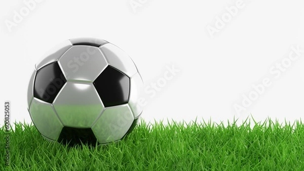 Fototapeta Soccer ball on green grass. 3d-rendering
