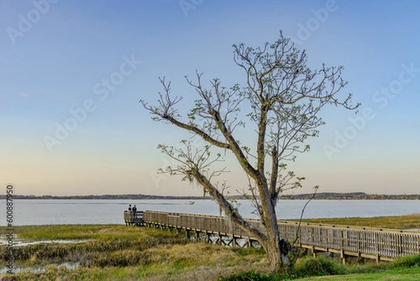 Obraz Sunset Romance