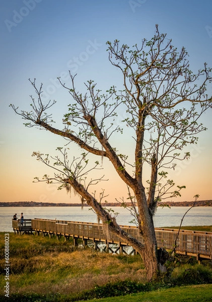 Obraz Sunset Romance