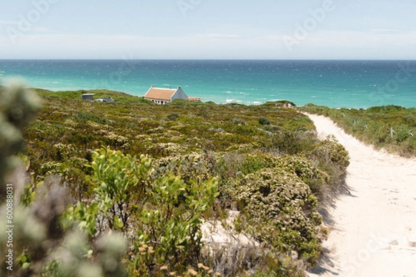 Obraz Dunes in de hoop nature reserve