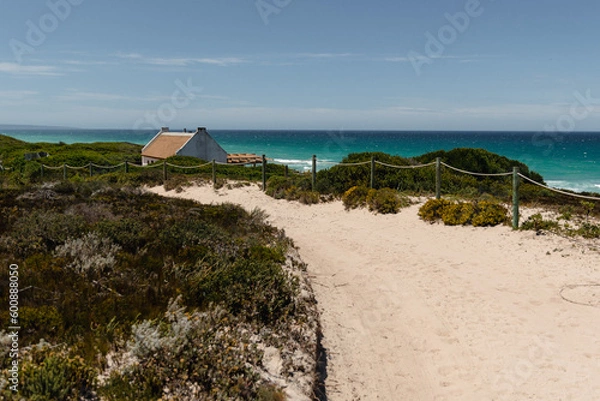 Obraz Dunes in de hoop nature reserve
