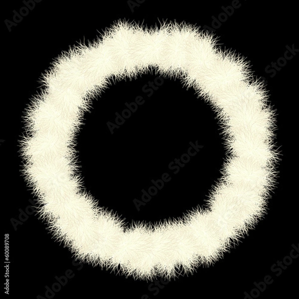 Obraz fur-circle
