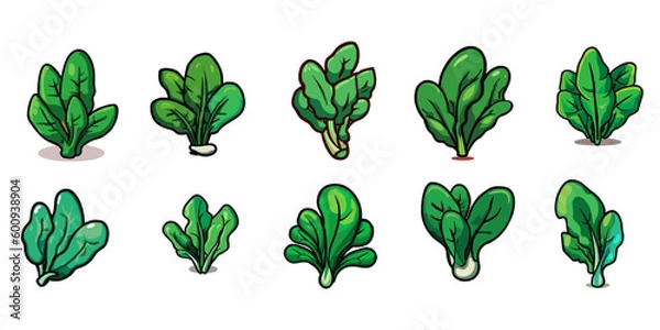 Obraz spinach vector set collection graphic clipart design