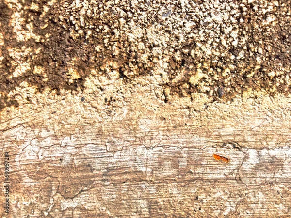 Fototapeta Beautiful and unusual patterned texture background