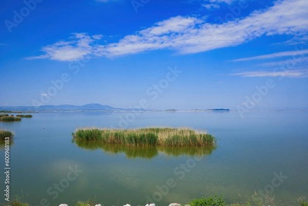 Obraz Lake Karla, calm and beautiful lake, Greece, a unique wetland, with water changes, small islands and aquatic plants and birds.