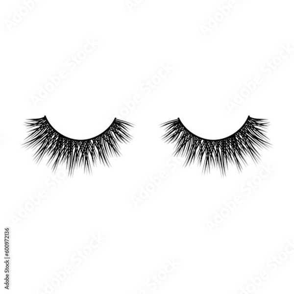 Obraz Lashes vector illustration