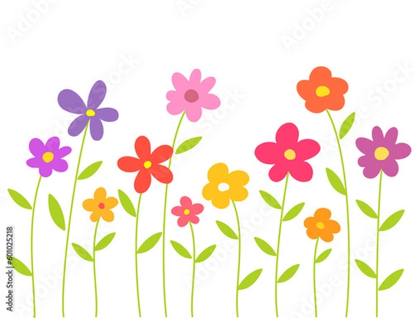 Fototapeta Colorful flowers isolated on transparent  background