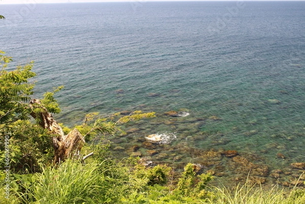 Obraz 高い透明度の西伊豆の海 静岡県下田市