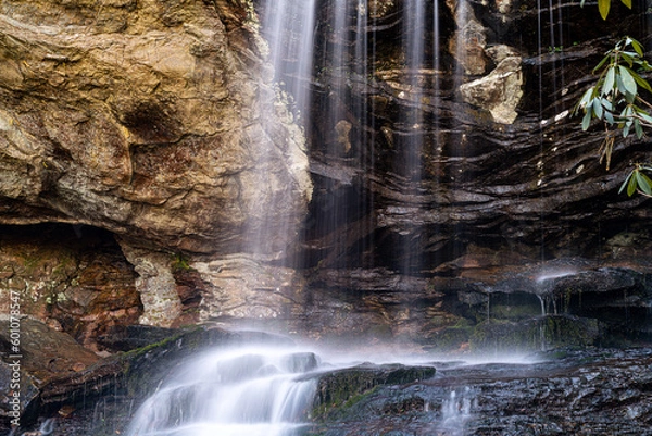 Obraz waterfall in the forest