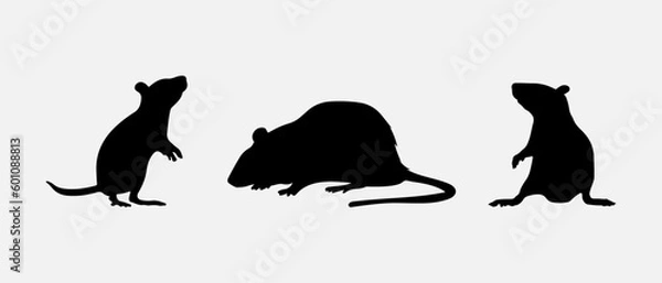 Fototapeta isolated black silhouette of a rat, vector collection