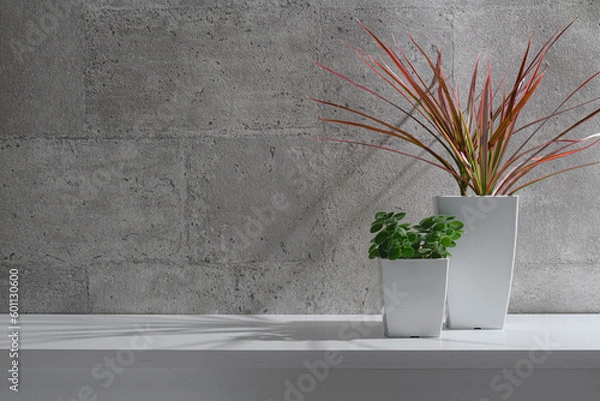 Obraz 窓明かりに照らされる鉢植えの観葉植物
