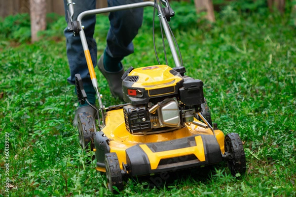 Obraz lawn mower in the garden. Yellow lawn mower on a background of green grass. Mowing grass in the garden with a lawn mower.
