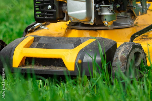 Fototapeta mowing the lawn. Yellow lawn mower on a background of green grass. Mowing grass in the garden with a lawn mower.