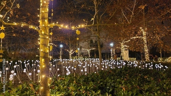 Fototapeta Advent lights