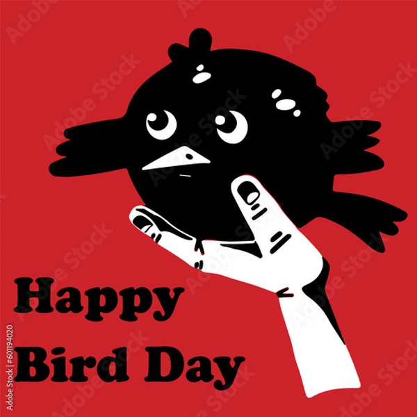 Fototapeta Noir card for happy bird day. Black chubby bird on red background. Human helping hand holding chicken.