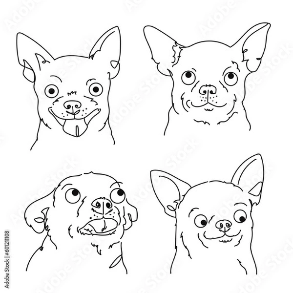 Obraz four expressive smooth haired chihuahua faces, line art, ugly portrait