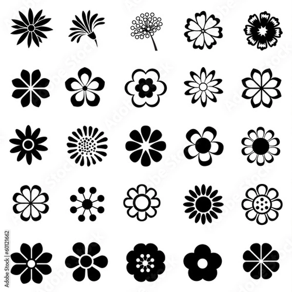 Obraz kwiat wektor zestaw