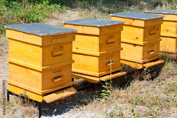 Obraz Beehives