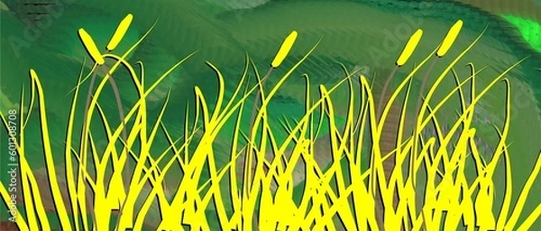 Obraz Summer panoramic image, green grass and sun