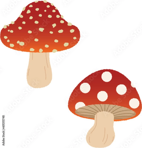 Fototapeta きのこのイラスト