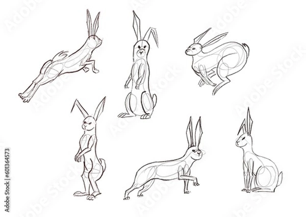 Obraz Rabbits in different poses illustration