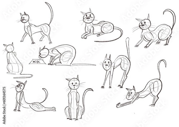 Obraz Cats in different poses illustration