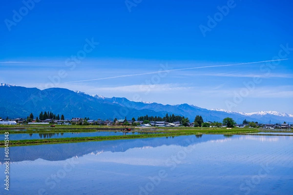 Fototapeta 水を張った田んぼと山岳風景