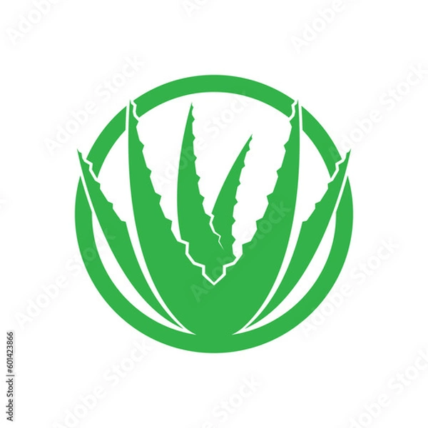 Obraz Aloe Vera logo icon design symbol beauty