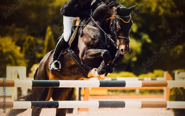 Fototapeta A majestic horse and rider clear a hurdle with ease on a summer day. The breathtaking display of athleticism and teamwork showcases the beauty and thrill of equestrian sport.