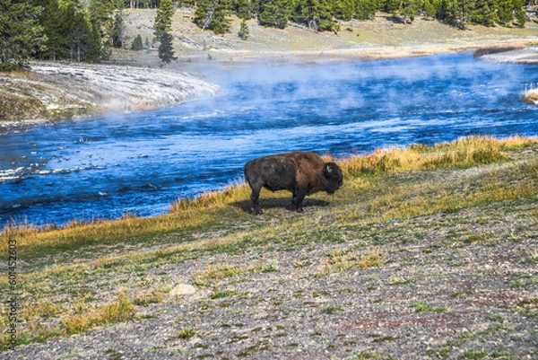 Obraz Mammoth Hot Springs