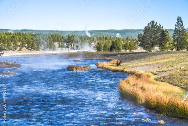 Obraz Mammoth Hot Springs