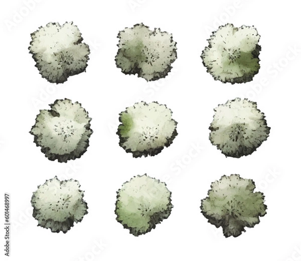 Obraz Various green trees, bushes and shrubs, top view for landscape design plan. Vector watercolor illustration, isolated on white background.