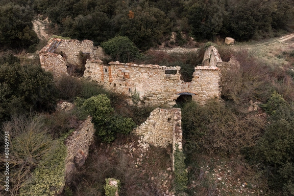 Obraz Forest Aerial View of Romanesque Ruins