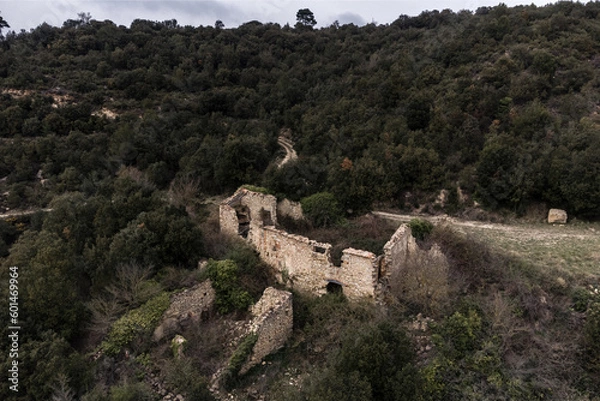 Fototapeta Aerial View of Romanesque Ruins in Forest with Overcast Sky