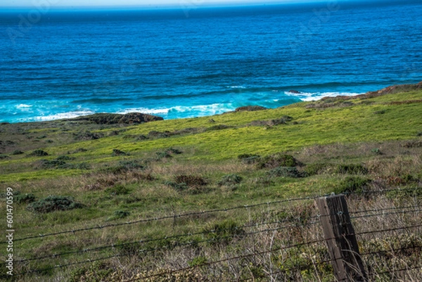 Obraz The Drive Down Highway One