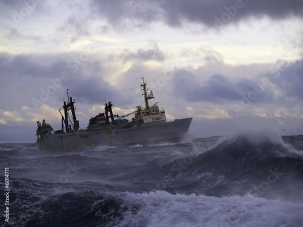 Obraz Kamera cyfrowa Olympus